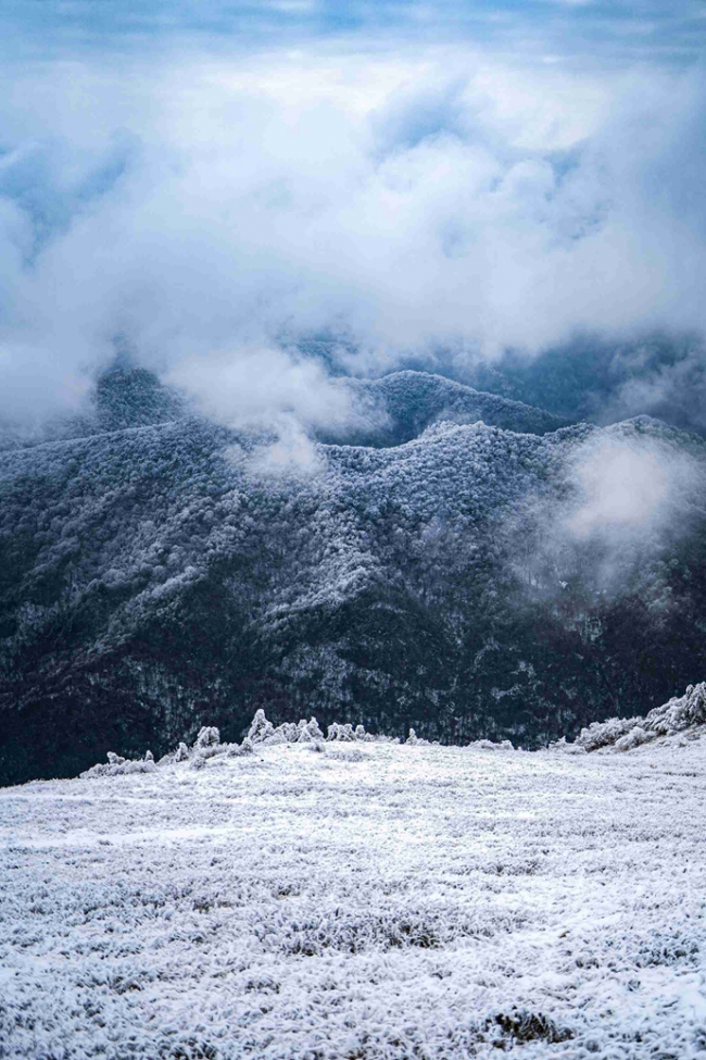 一下雪就上央视，秦岭雪乡50里小众赏雪大道超实用攻略！
